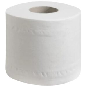 Enviroplus Eco Toilet Tissue 2-Ply, 400 Sheets – Carton of 48 Rolls